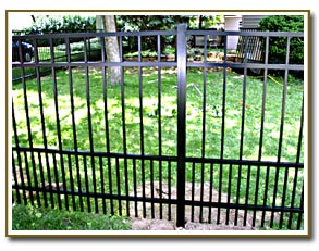 White Guardian with Ball Caps Fence