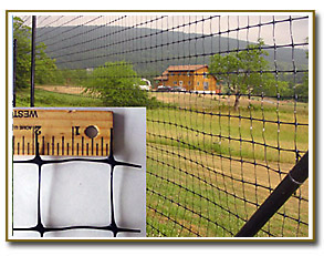 Deer Fencing